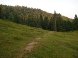 2013-07-20_Regina-F-Rau_Kochel-Rabenkopf (513).JPG